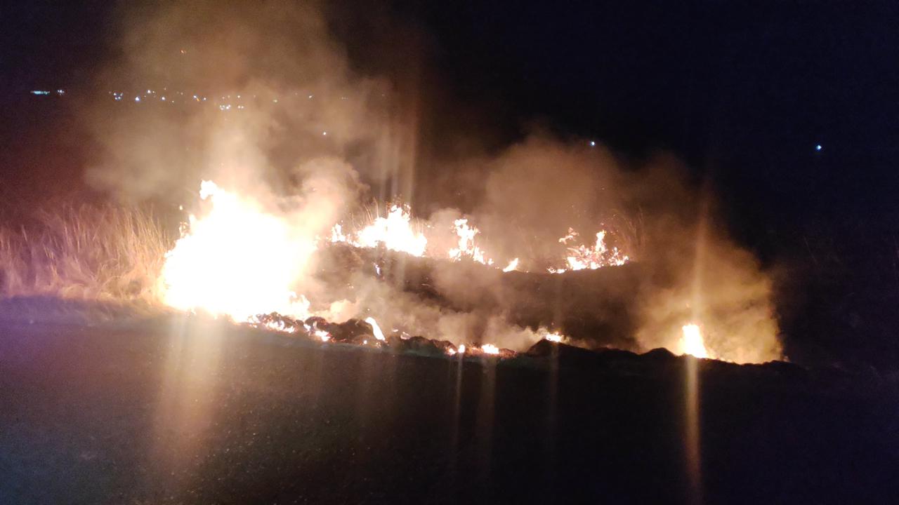 Sofocan incendio de pastizal en carretera Benito Juárez - El Valle